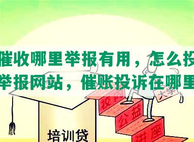 网贷催收哪里举报有用，怎么投诉电话，举报网站，催账投诉在哪里