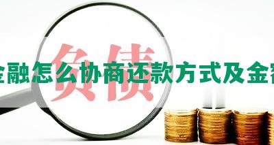 金融怎么协商还款方式及金额