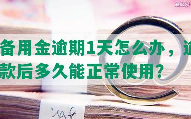 平安备用金逾期1天怎么办，逾期4天还款后多久能正常使用？