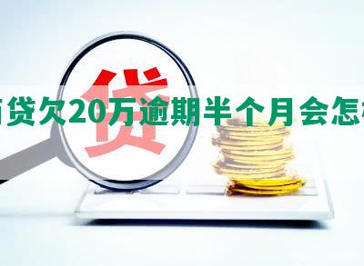 网商贷欠20万逾期半个月会怎样应对