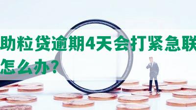 民生助粒贷逾期4天会打紧急联系人吗？怎么办？