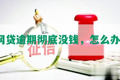 网贷逾期彻底没钱，怎么办？