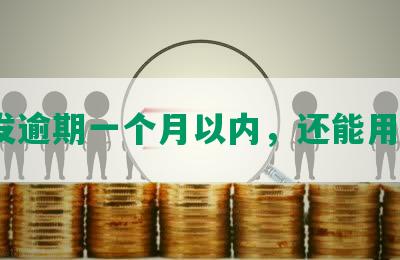 浦发逾期一个月以内，还能用吗？