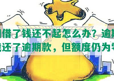 美团借了钱还不起怎么办？逾期19天我还了逾期款，但额度仍为零。