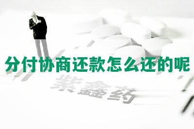 分付协商还款怎么还的呢