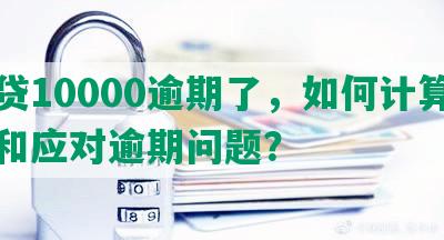 网贷10000逾期了，如何计算利息和应对逾期问题？