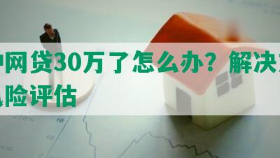 各种网贷30万了怎么办？解决方案与风险评估