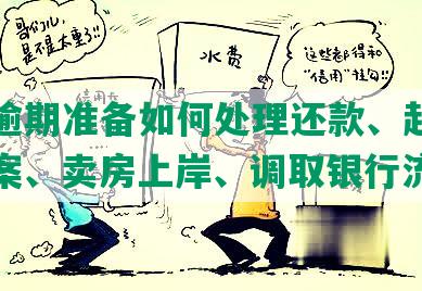 网贷逾期准备如何处理还款、起诉前调档案、卖房上岸、调取银行流水