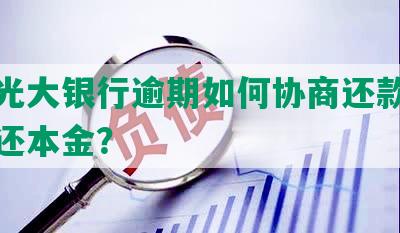 河北光大银行逾期如何协商还款方式及期还本金？