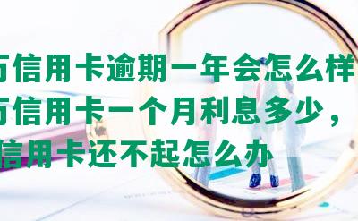 25万信用卡逾期一年会怎么样，欠25万信用卡一个月利息多少，欠25万信用卡还不起怎么办