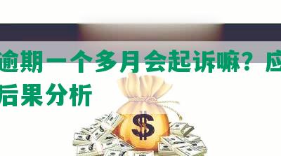 网贷逾期一个多月会起诉嘛？应对方法及后果分析