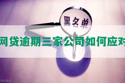 网贷逾期三家公司如何应对