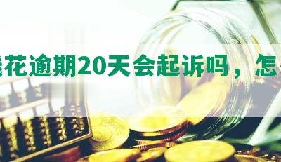 有钱花逾期20天会起诉吗，怎么办？