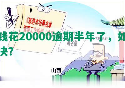 有钱花20000逾期半年了，如何解决？