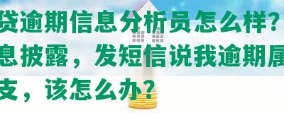 拍拍贷逾期信息分析员怎么样？拍拍贷信息披露，发短信说我逾期属于恶意透支，该怎么办？