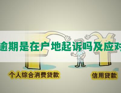 网贷逾期是在户地起诉吗及应对方法