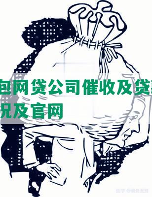 袋鼠钱包网贷公司催收及贷款真假，征信情况及官网