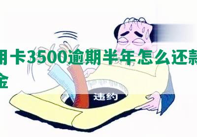 信用卡3500逾期半年怎么还款及本金