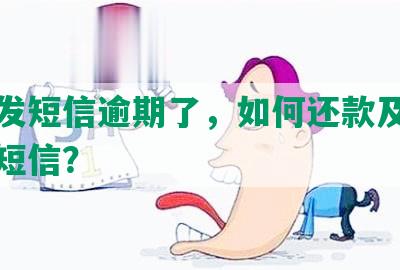 招商发短信逾期了，如何还款及逾期提醒短信？