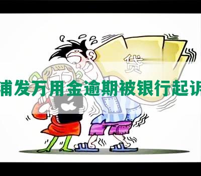 浦发万用金逾期被银行起诉