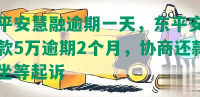 中国平安慧融逾期一天，东平安普金所贷款5万逾期2个月，协商还款不成，坐等起诉