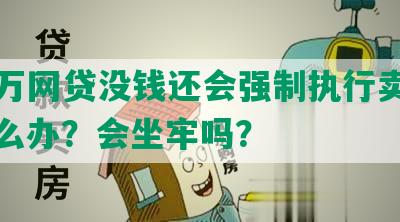 欠十万网贷没钱还会强制执行卖房吗，怎么办？会坐牢吗？