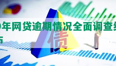 219年网贷逾期情况全面调查结果发布