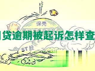 网贷逾期被起诉怎样查出