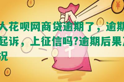 多少人花呗网商贷逾期了，逾期多久会被起诉，上征信吗?逾期后果及恢复情况