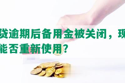 网商贷逾期后备用金被关闭，现已还清，能否重新使用？