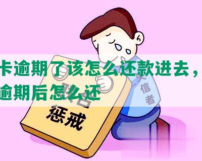 信用卡逾期了该怎么还款进去，欠信用卡逾期后怎么还