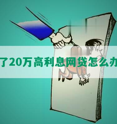 欠了20万高利息网贷怎么办啊