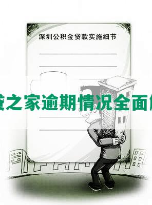 网贷之家逾期情况全面解析