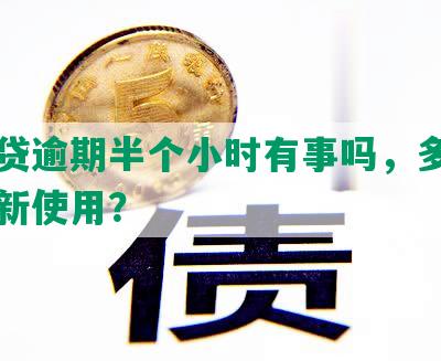 网商贷逾期半个小时有事吗，多久可以重新使用？