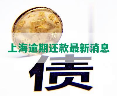 上海逾期还款最新消息