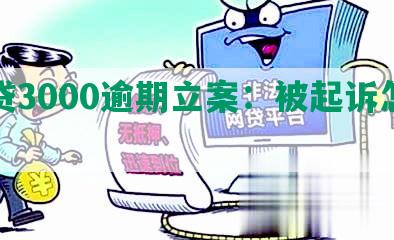 网贷3000逾期立案：被起诉怎么办？