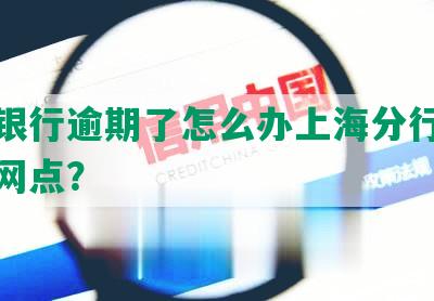 新网银行逾期了怎么办上海分行银行卡和网点？