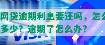 小额网贷逾期利息要还吗，怎么算？现在多少？逾期了怎么办？