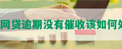 期间网贷逾期没有催收该如何处理？