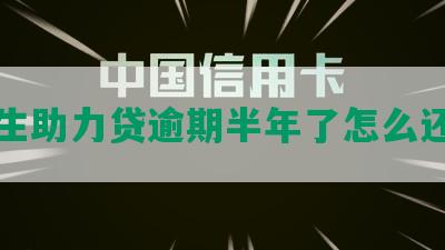 民生助力贷逾期半年了怎么还款