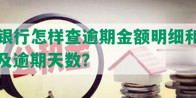 交通银行怎样查逾期金额明细和记录，以及逾期天数？