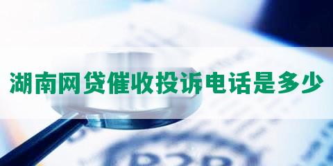 湖南网贷催收投诉电话是多少