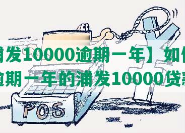 【浦发10000逾期一年】如何处理逾期一年的浦发10000贷款？