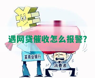 遇网贷催收怎么报警？