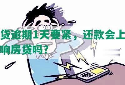 消费贷逾期1天要紧，还款会上征信，影响房贷吗？