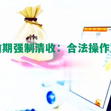 网贷逾期强制清收：合法操作及影响分析