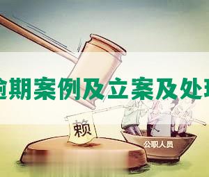 民生逾期案例及立案及处理方式