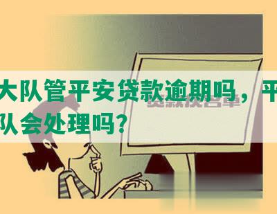 侦查大队管平安贷款逾期吗，平安经侦支队会处理吗？