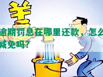 网贷逾期罚息在哪里还款，怎么算的，能减免吗？