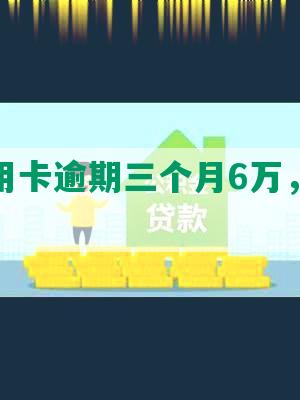 招商信用卡逾期三个月6万，如何解决？